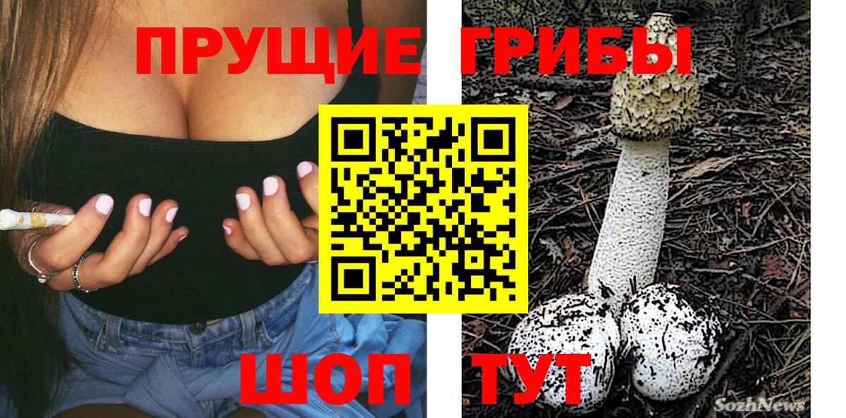 Псилоцибиновые грибы GOLDEN TEACHER  Вход с VPN  Алатырь 