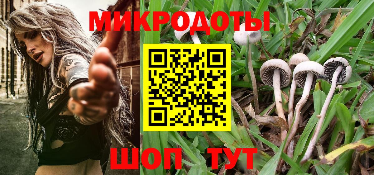 Псилоцибиновые грибы мухоморы Алатырь